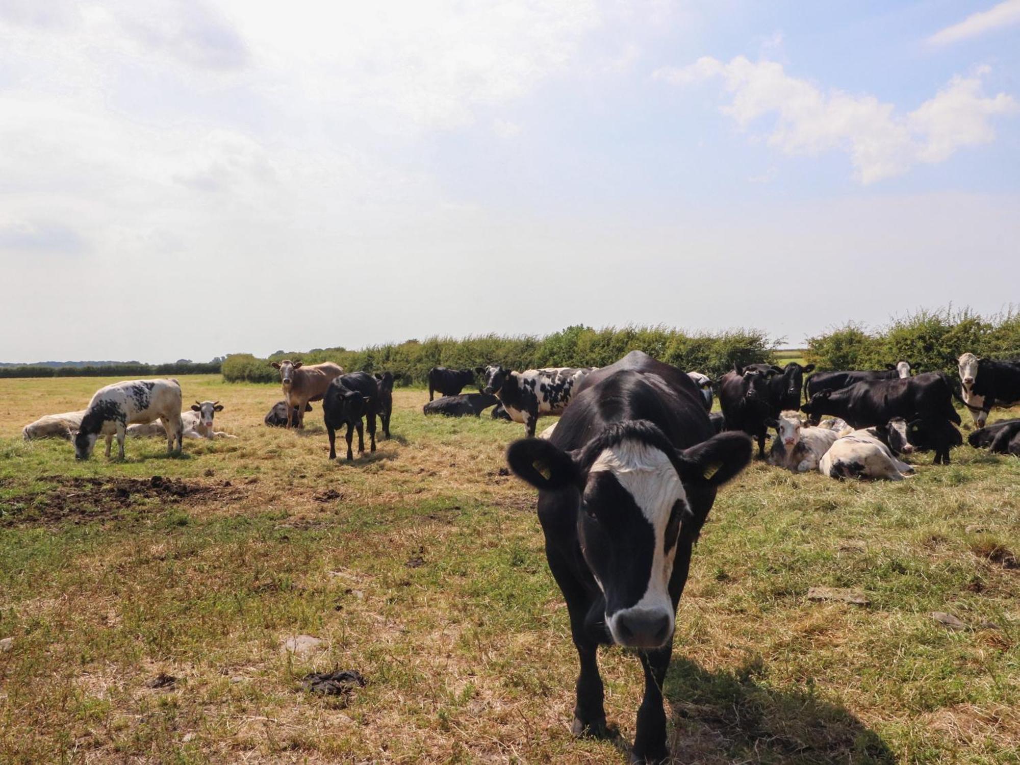 Lapwing Lodge لانكاستير المظهر الخارجي الصورة